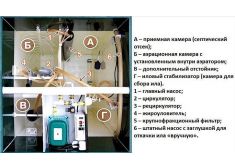 Астра 10 Миди